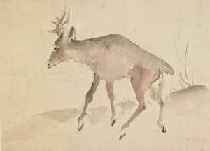 Rådjur, sent 1700-tidigt 1800-tal. av Katsushika Hokusai