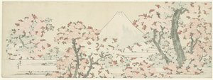 Fuji över körsbärsblomningen, ca 1800-1805 (träsnitt) av Katsushika Hokusai