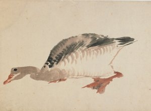 Gås, sent 1700-tidigt 1800-tal. av Katsushika Hokusai