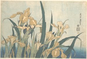 Gräshoppa och iris av Katsushika Hokusai
