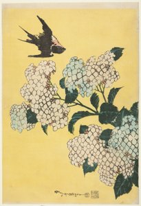 Hortensia och svala, från en namnlös serie stora blommor av Katsushika Hokusai