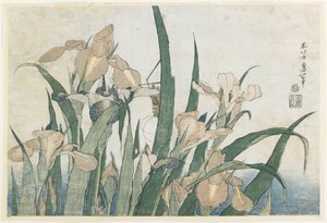 Iris blommor och gräshoppa, ca 1830-31 (trätryck i färg)
