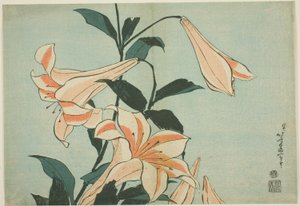 Liljor, från en namnlös serie stora blommor av Katsushika Hokusai