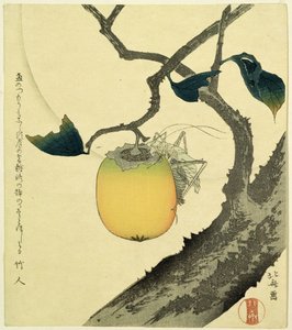 Månen, persimmon och gräshoppa, 1807 (träsnitt i färg) av Katsushika Hokusai
