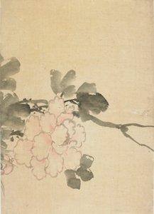 Pion, sent 1700-tidigt 1800-tal. av Katsushika Hokusai