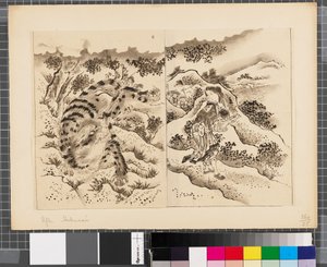 Scener från kriget mellan Japan och Korea, slutet av 1700-talet - första hälften av 1800-talet (tusch och lavering på papper) av Katsushika Hokusai
