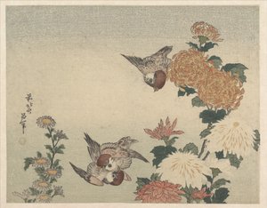 Sparvar och krysantemum av Katsushika Hokusai