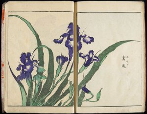Att förmedla andan och avslöja tingens gestalt: Hokusais bildträdgård, vol. 1, komplett av Katsushika Hokusai
