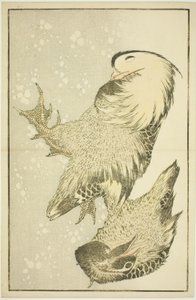 Two Waterfowl, från The Picture Book of Realistic Paintings of Hokusai (Hokusai shashin gafu) av Katsushika Hokusai