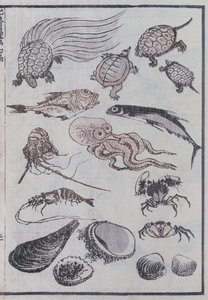 Undervattensvarelser, från en Manga (träblock i färg) av Katsushika Hokusai