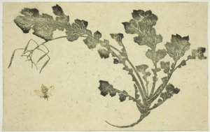 Geting- och kålrotsstjälk, från "The Picture Book of Realistic Paintings of Hokusai (Hokusai shashin gafu)" av Katsushika Hokusai