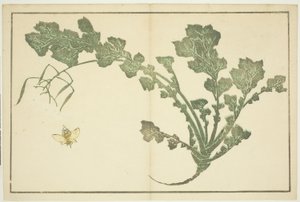 Geting- och kålrotsstjälk, från "The Picture Book of Realistic Paintings of Hokusai (Hokusai shashin gafu)" av Katsushika Hokusai