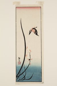 Fjäril och gräs (trätryck i färg) av Katsushika II (fl.1820 50) Taito