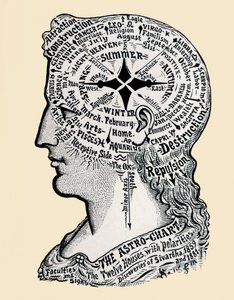 Ett diagram över människans huvud och axlar. 1800-talet (gravyr)