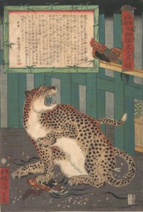 Aldrig sett förut: True Picture of a Live Wild Tiger..., sjätte månaden 1860. av Kawanabe Kyosai
