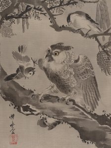 Uggla hånad av småfåglar, ca. 1887.