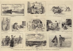 Illustrationer från Kungliga Målarinstitutets katalog i akvarell av Keeley Halswelle