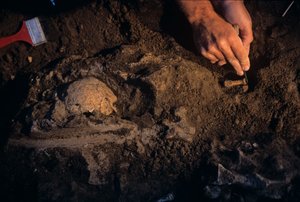 Dmanisi, Georgien, David Lordkipanidze, Homo Erectus av Kenneth Garrett