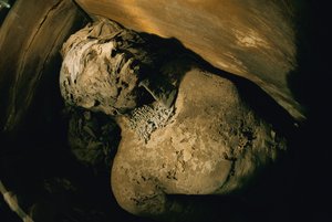 Egypten; Arkeologi; Gamla riket; Saqqara; Mumie; Nefer; Grav, 5:e dynastin av Kenneth Garrett