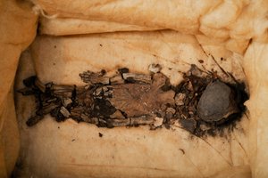 Fetusmumie, barn till Kung Tut, Fetus 1, kvinna, från KV62, För närvarande vid Qasi Aini Ho..., 2009 (foto)