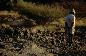 Fossiljägare, Kamoya Kimeu, ledare för Hominid Gang, 2008 (foto) av Kenneth Garrett