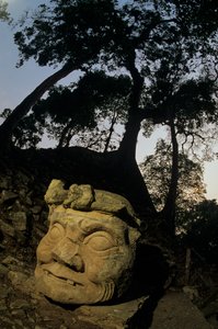 Gud N, Ceibaträd, tempel, Maya, Copan, Honduras, klassisk tid av Kenneth Garrett