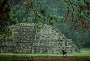 Honduras; Copan; Maya av Kenneth Garrett