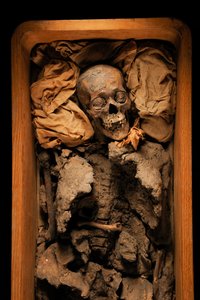 Mumie av Amenhotep III, kung Tuts farfar, KV 35, Tutankhamun; 18:e dynastin; New..., 2005 (foto) av Kenneth Garrett
