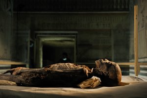 mm7864; 18:e dynastin; Nya riket; Egypten; DNA; Prov; Mumie, okänd mumie, 2005 (foto) av Kenneth Garrett