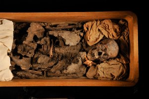 mm7864; Tutankhamun; 18:e dynastin; Nya riket; Egyptiska museet; Kairo; DNA; samp..., 2005 (foto) av Kenneth Garrett