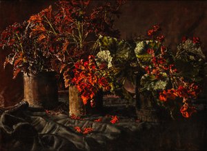 Begonia (olja på duk)