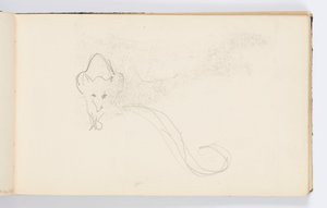 Skissbokssida: Sketch of a Genet av Kenyon Cox