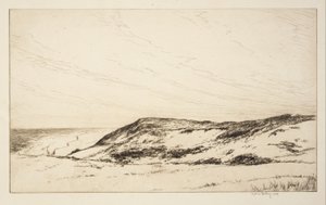 Höglandet, Cape Cod av Kerr Eby