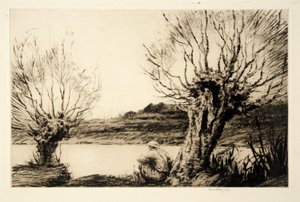 The Willows, av Kerr Eby