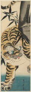 (Tiger, der aus Bambus auftaucht)