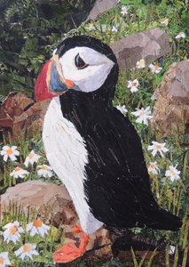Lunnefågel