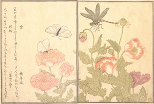 Skrivet av Hiterfly, Dragonfly Haze or Dragonfly, 1788. av Kitagawa Utamaro