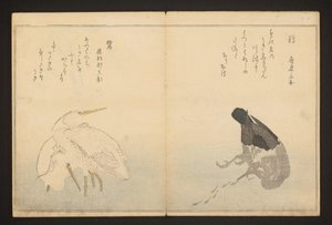 Skarv och häger av Kitagawa Utamaro