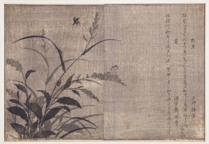 Cricket och eldflugor, 1788 (träblock) av Kitagawa Utamaro