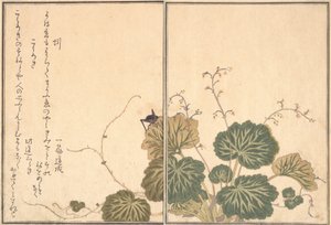 Daggmask Mimizu, Cricket Korogi..., 1788. av Kitagawa Utamaro