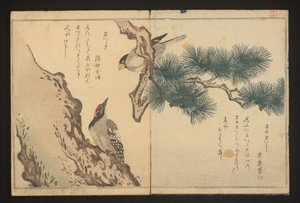 Grosneak och hackspett av Kitagawa Utamaro