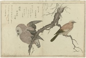 Jay och uggla av Kitagawa Utamaro