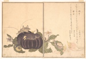 Landsnäcka (Katatsumuri); jättestor vårtbitare (Kutsuwamushi), ur bilderboken om krypande varelser (Ehon mushi erami) av Kitagawa Utamaro