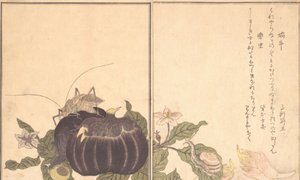 En snigel i fläkten d S, en snigel i näbben. . . , 1788. av Kitagawa Utamaro