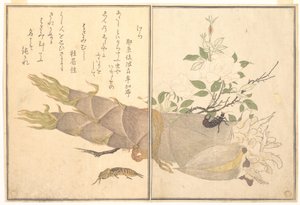 Mullvadssyrsa (Kera); tvestjärt (Hasami-mushi), ur Bildbok om krypande varelser (Ehon mushi erami) av Kitagawa Utamaro