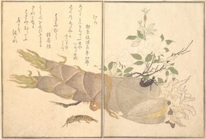Mole Cricket Kera, Earwig, Hasami-mushi..., 1788. av Kitagawa Utamaro