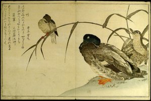 Myriader av fåglar: En Kyoka-tävling (Momo chidori kyoka awase) av Kitagawa Utamaro