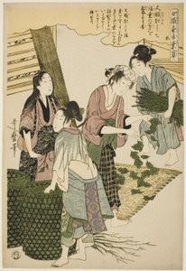 swedish av Kitagawa Utamaro