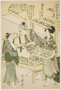 Nr 6 (roku), från serien "Kvinnor Engagerade i Sericulture Industry (Joshoku kaiko tewaza-gusa)" av Kitagawa Utamaro
