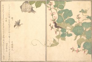 Paper Wasp Hachi, Hairy Caterpillar Kemushi..., 1788. av Kitagawa Utamaro